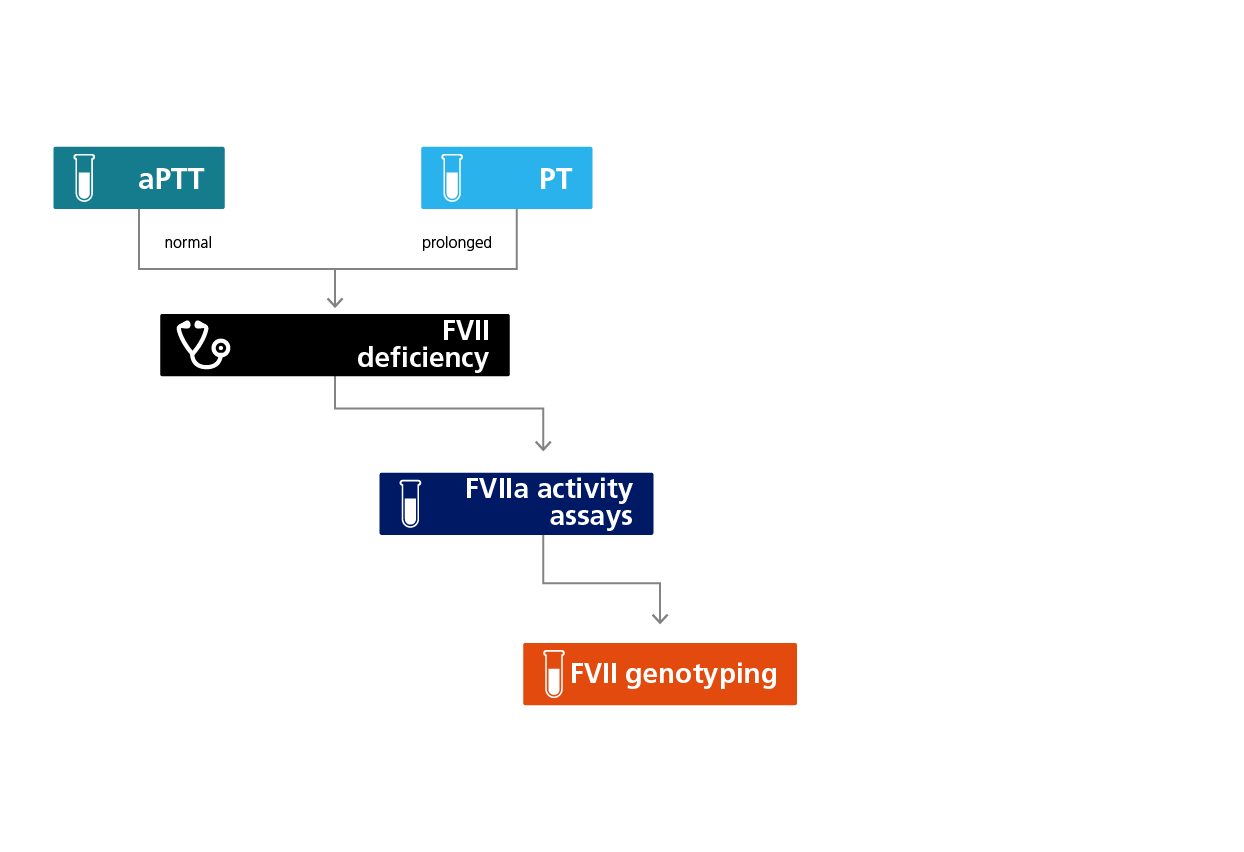 Algorithm for the laboratory diagnosis of FVII deficiency