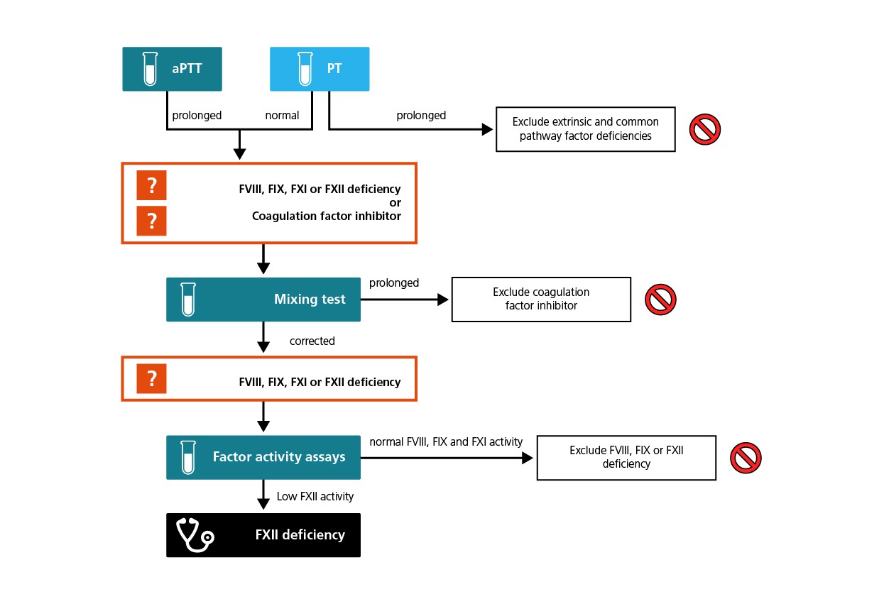 FXII CD algorithm