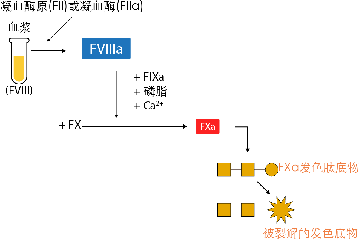 chromogenic FVIII assay