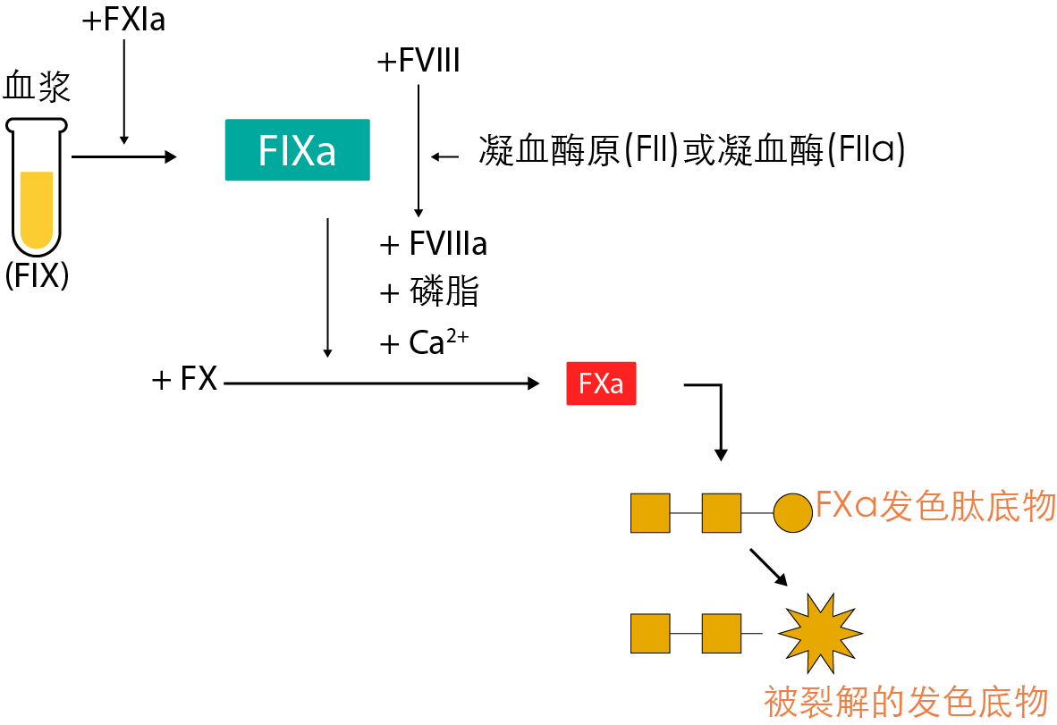 chromogenic FIX assay