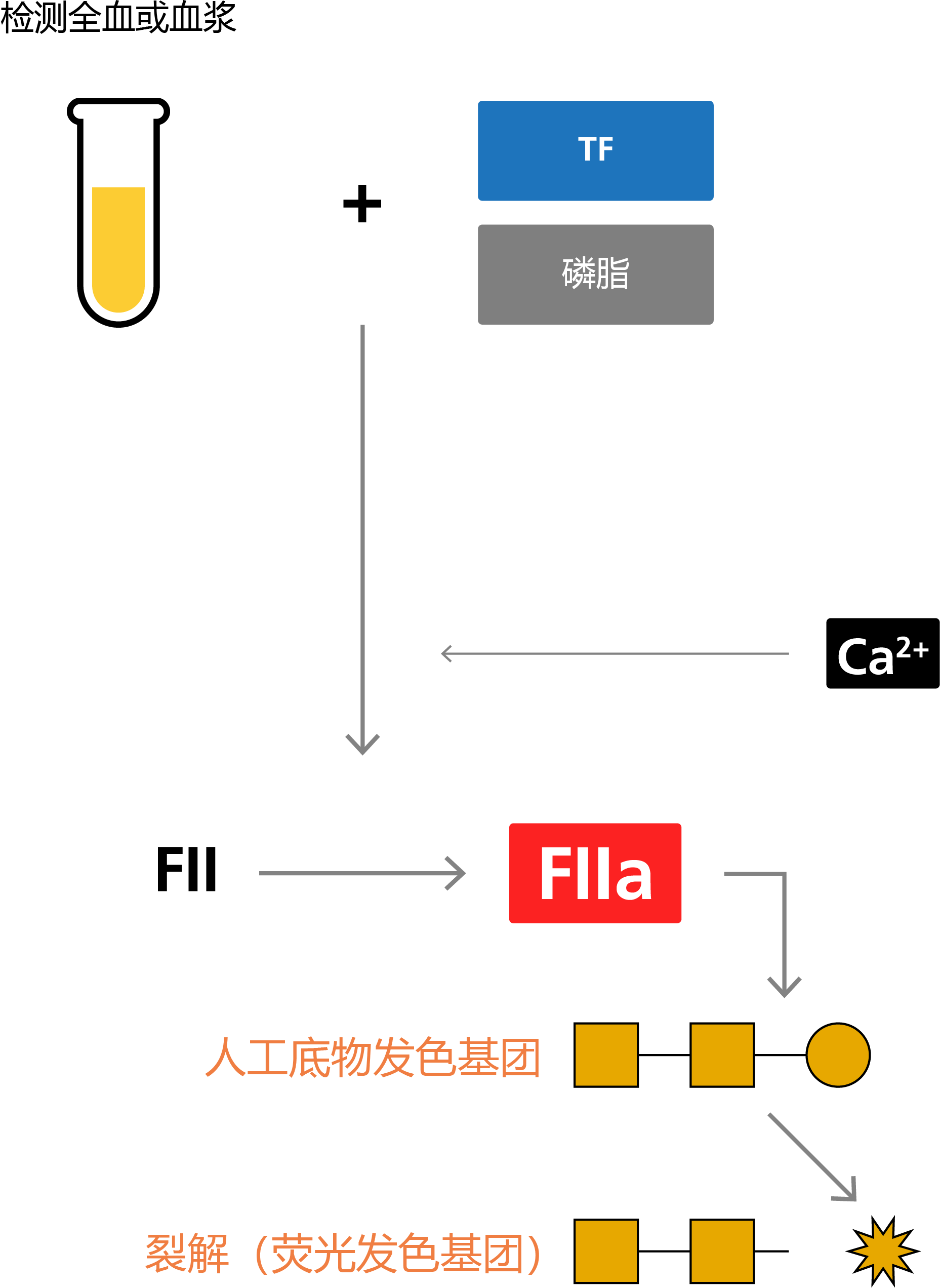 Principle behind thrombin generation assays