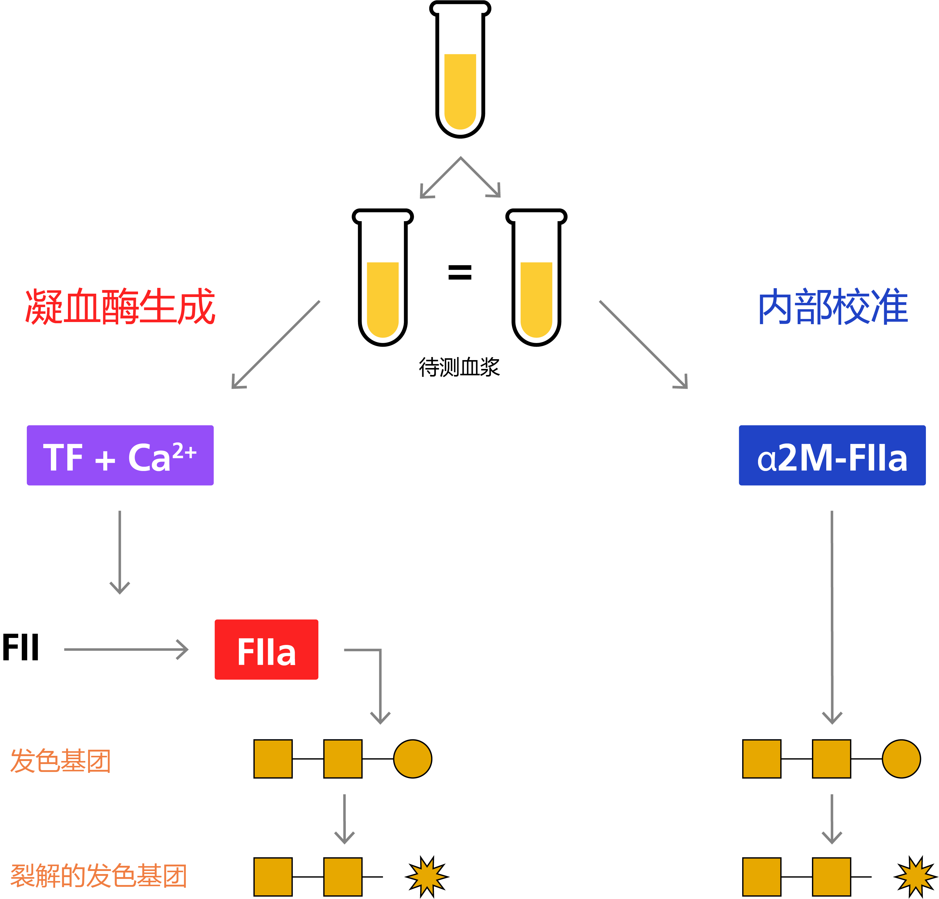 Principle behind the calibrated automated thrombogram