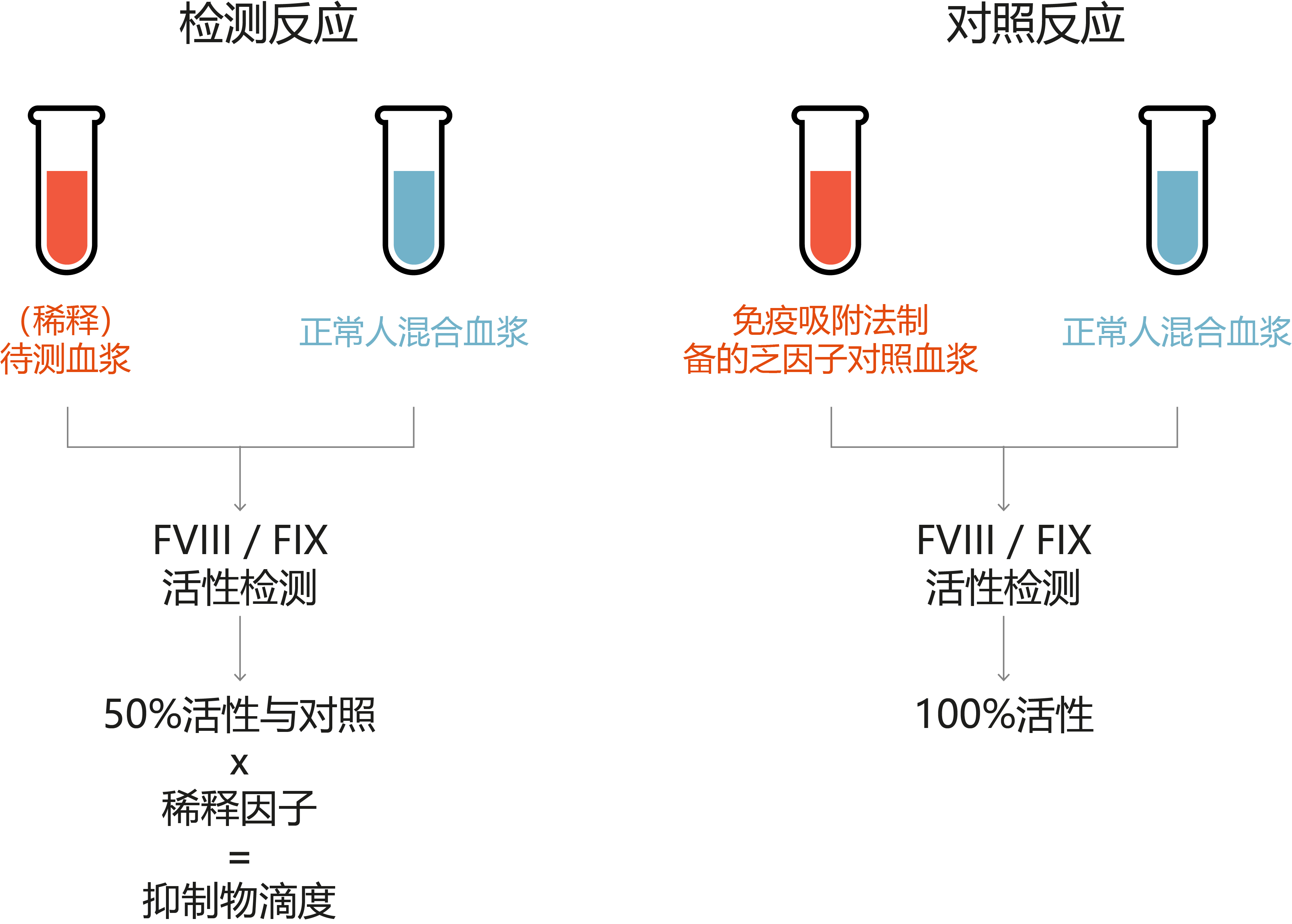 FXIII functional activity assays