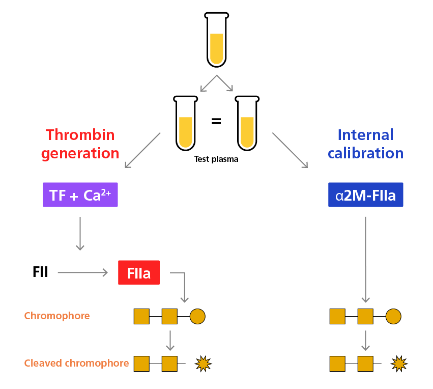 Principle behind the calibrated automated thrombogram