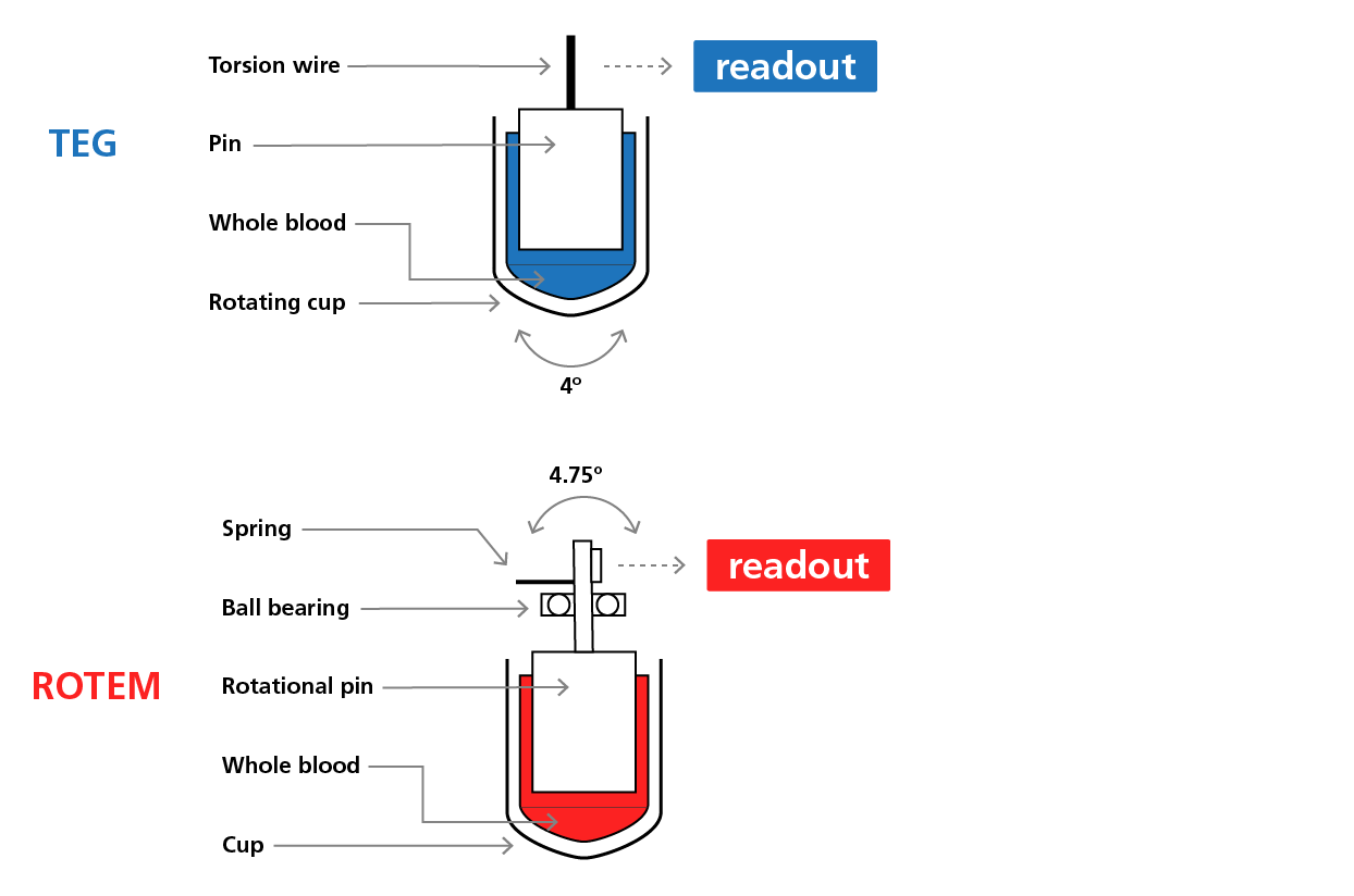 principles behind thrombolelastography (TEG) and rotational thromboelastography (ROTEG