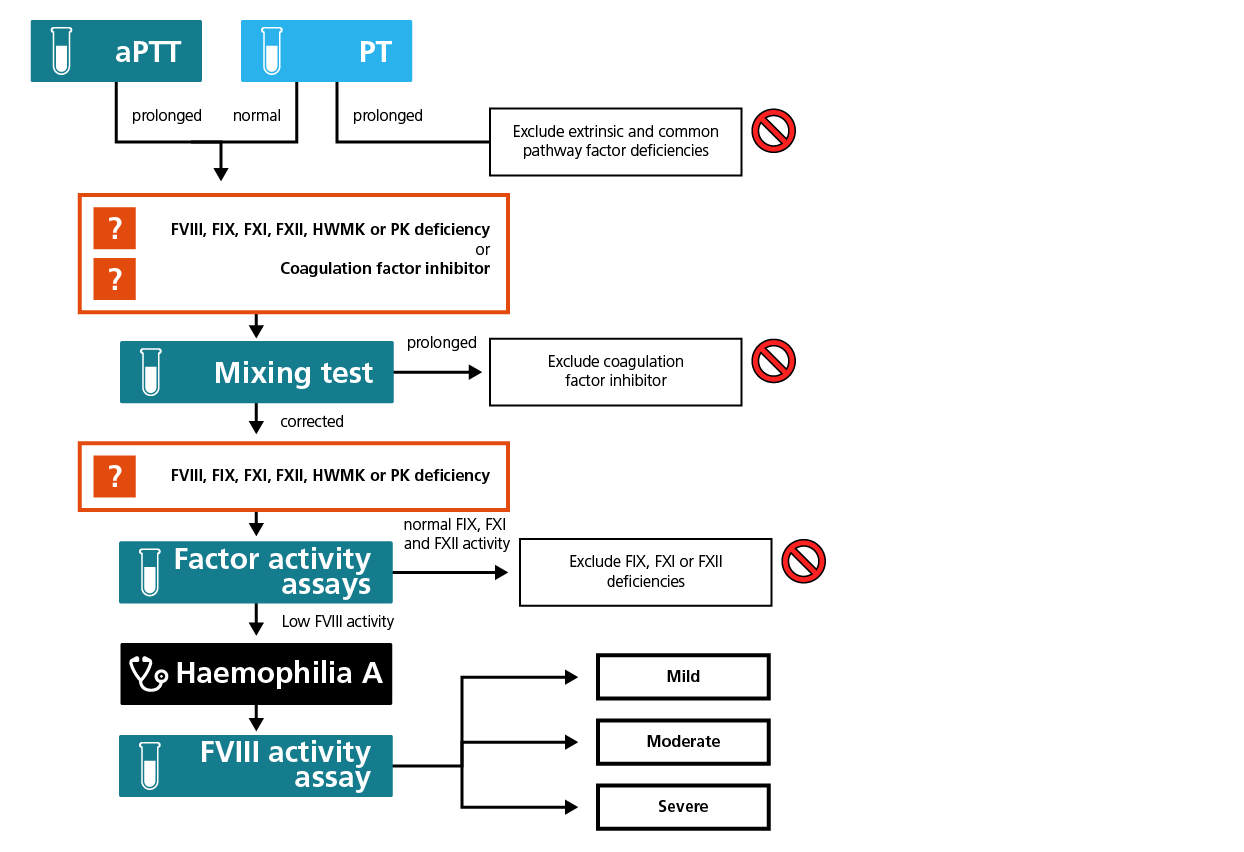 Algorithm for the laboratory diagnosis of haemophilia A