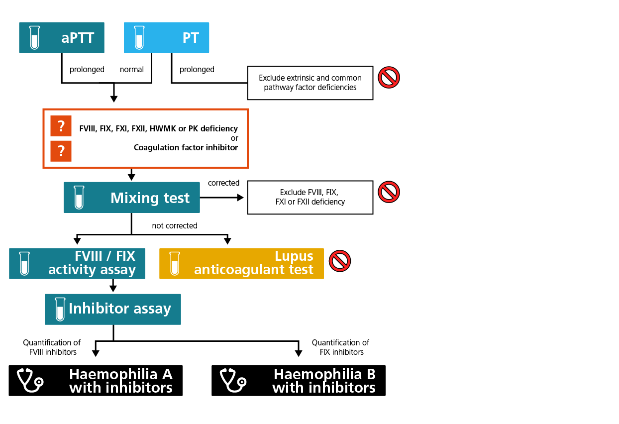 Algorithm for the laboratory diagnosis of haemophilia A or B with inhibitors