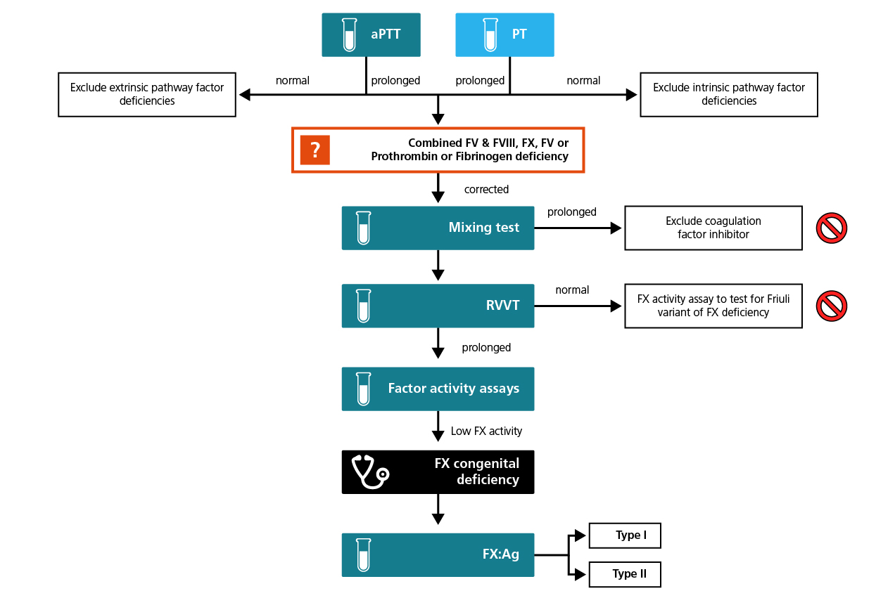 Algorithm for the laboratory diagnosis of FX CD