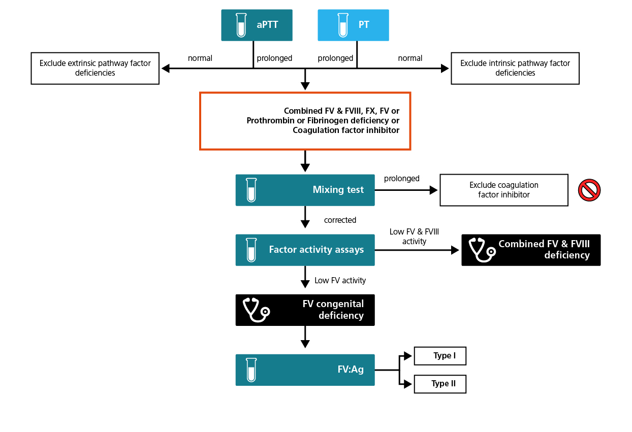 Algorithm for the laboratory diagnosis of FV deficiency.