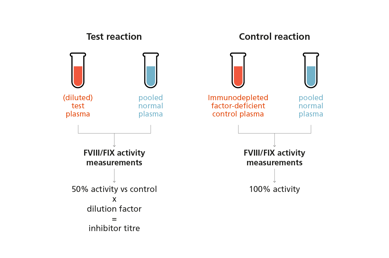 FXIII functional activity assays