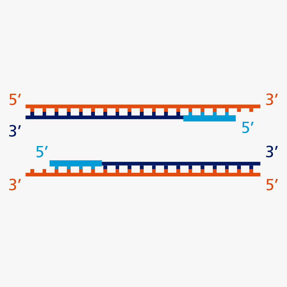 Genetic analyses