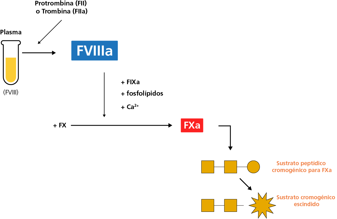 chromogenic FVIII assay