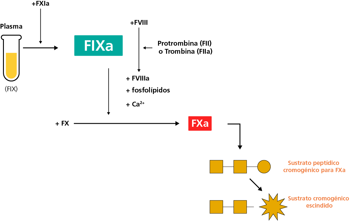 chromogenic FIX assay