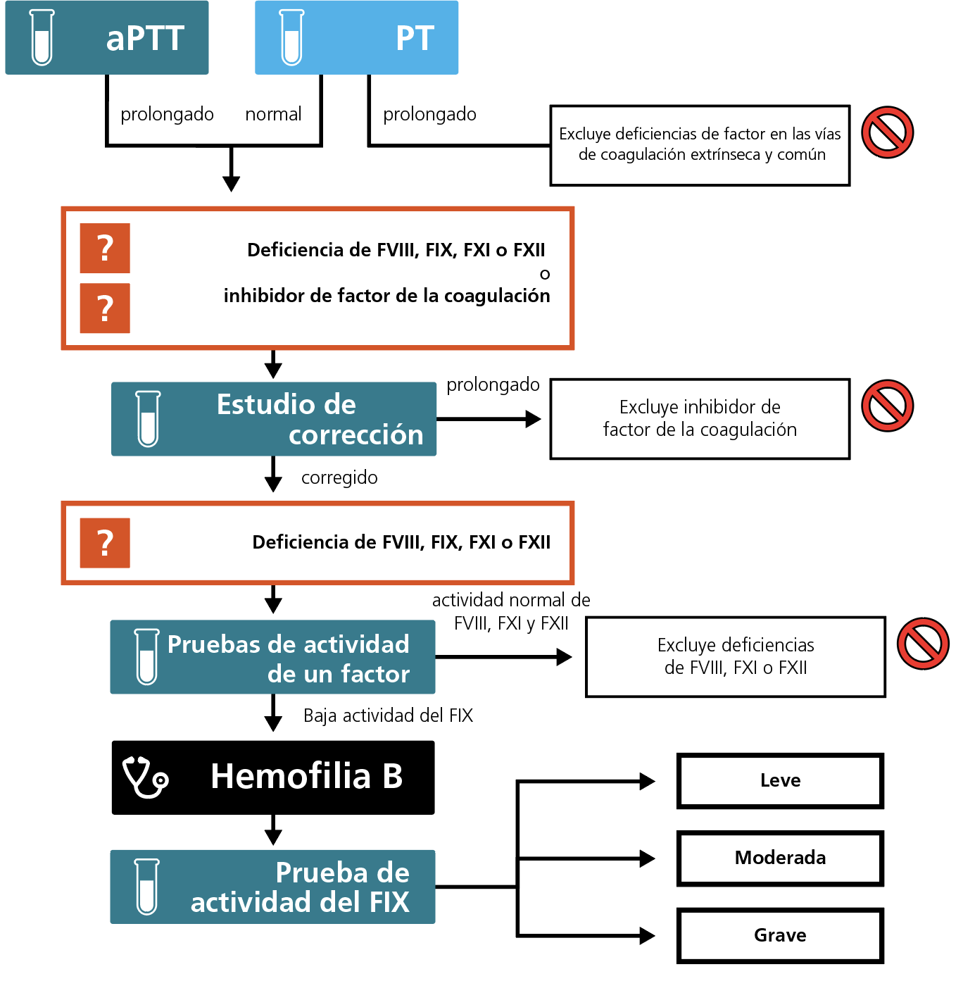 Algorithm for the laboratory diagnosis of haemophilia B