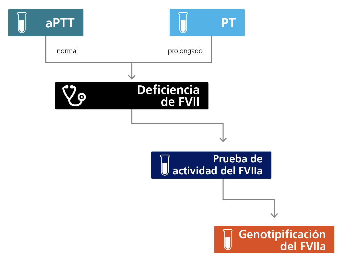 Algorithm for the laboratory diagnosis of FVII deficiency