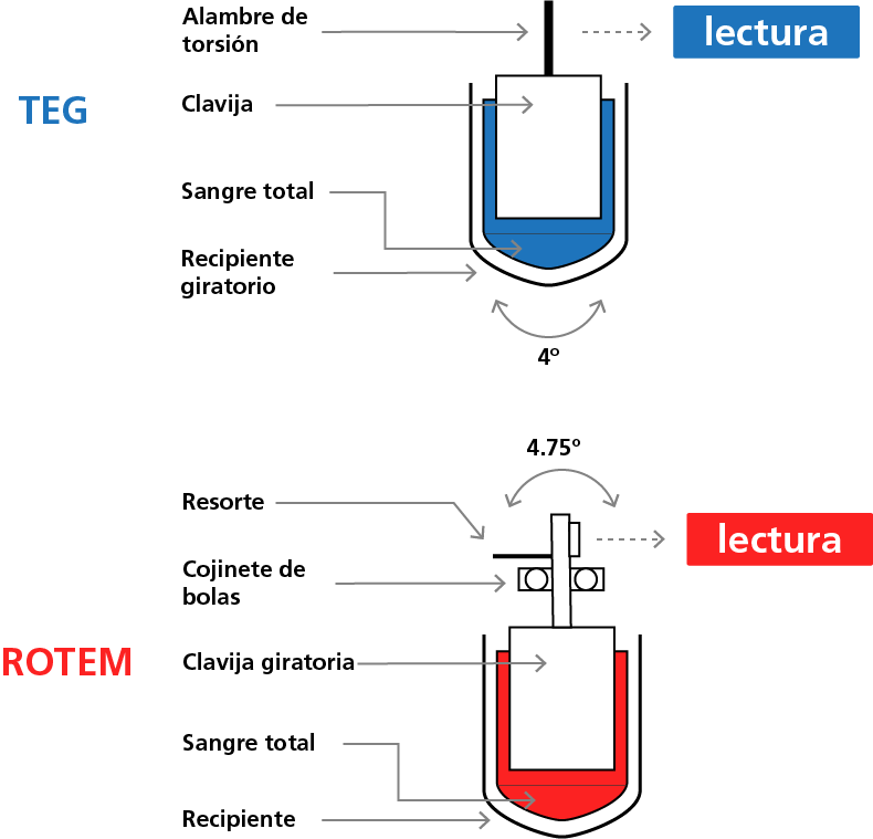 principles behind thrombolelastography (TEG) and rotational thromboelastography (ROTEG