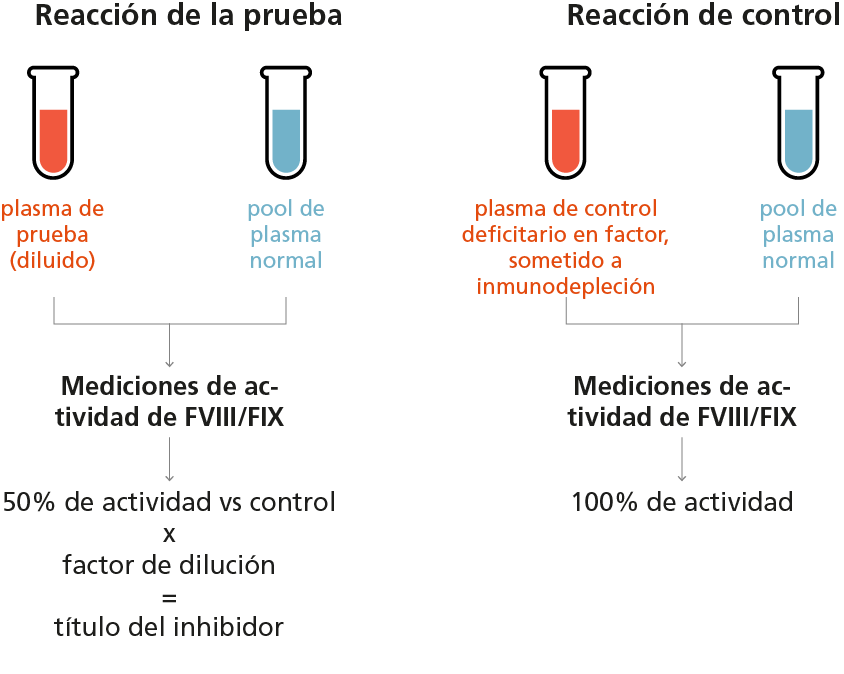 FXIII functional activity assays