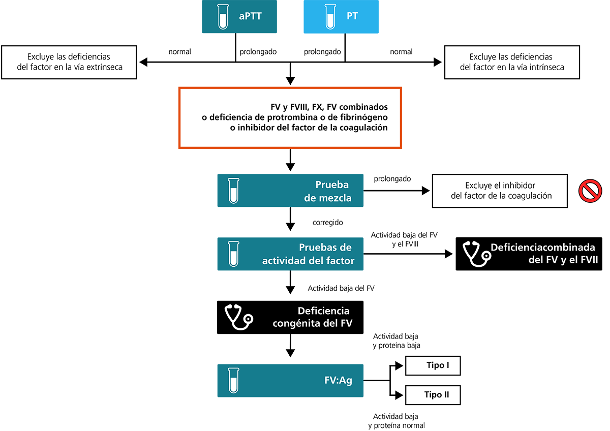 Algorithm for the laboratory diagnosis of FV deficiency.