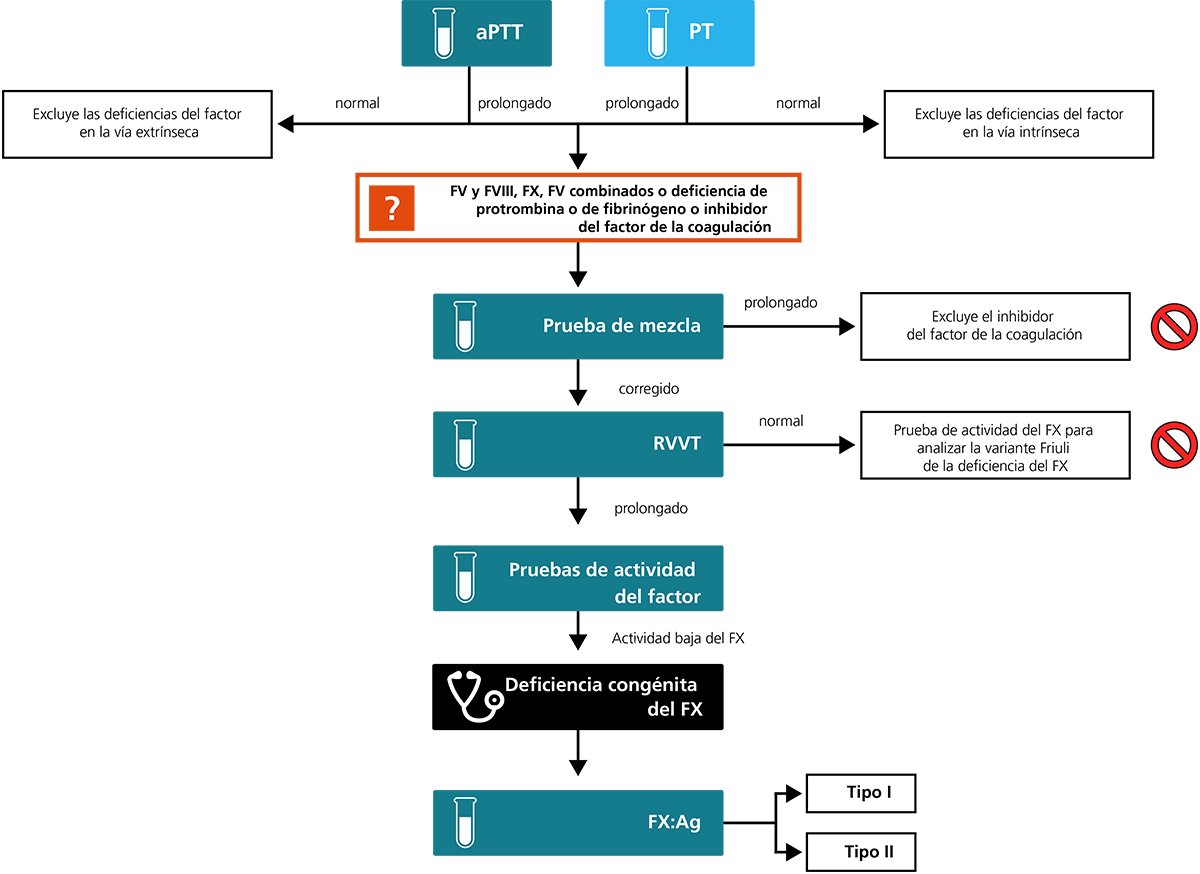 Algorithm for the laboratory diagnosis of FX CD